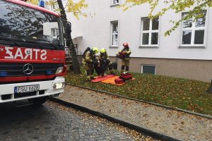 IMG_20211012_104754
